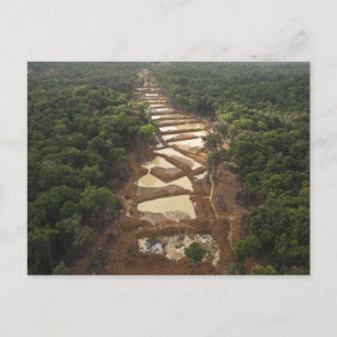 Postal Minería de oro aluvial. Selva tropical, Guyana.