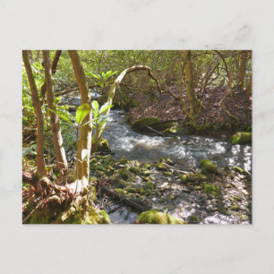 Postal Mingus Creek en Smoky Mountains