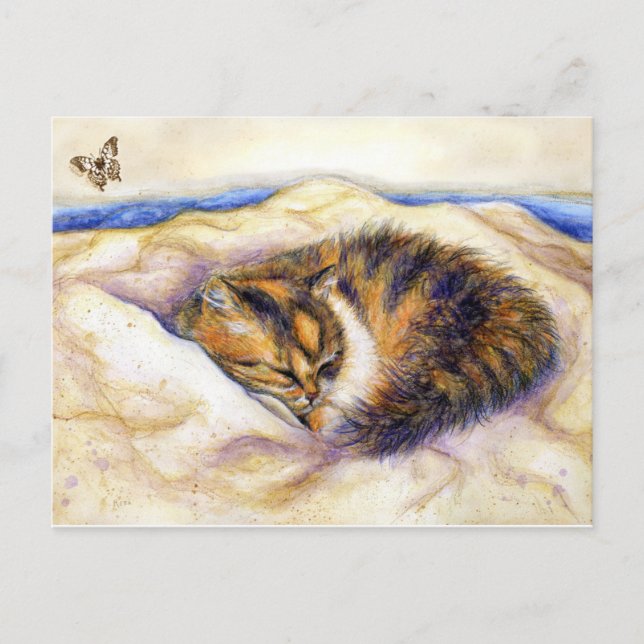 Postal Mini Art Calico Cat Sleeping Postcard (Anverso)