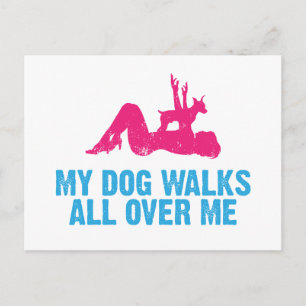 Postal Miniatura de Pinscher