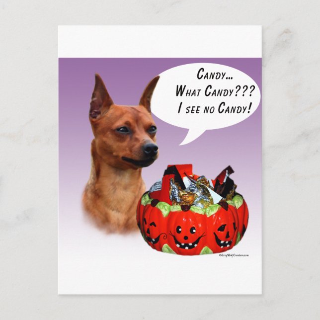 Postal Miniatura de Pinscher Halloween Candy (Anverso)