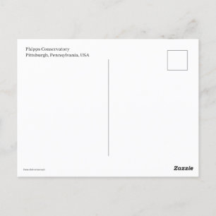 Postal Miniatura Trolly