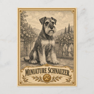 Postal Miniature Schnauzer, Perro Patrimonio Vintage