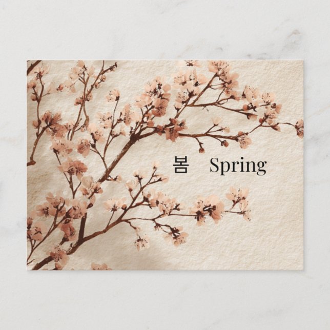 Postal Minimal Cherry Blossom Spring Postcard (Anverso)