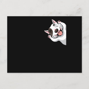 Postal Mínimo Bull Terrier Dog Gracioso