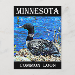 Postal Minnesota Common Loon