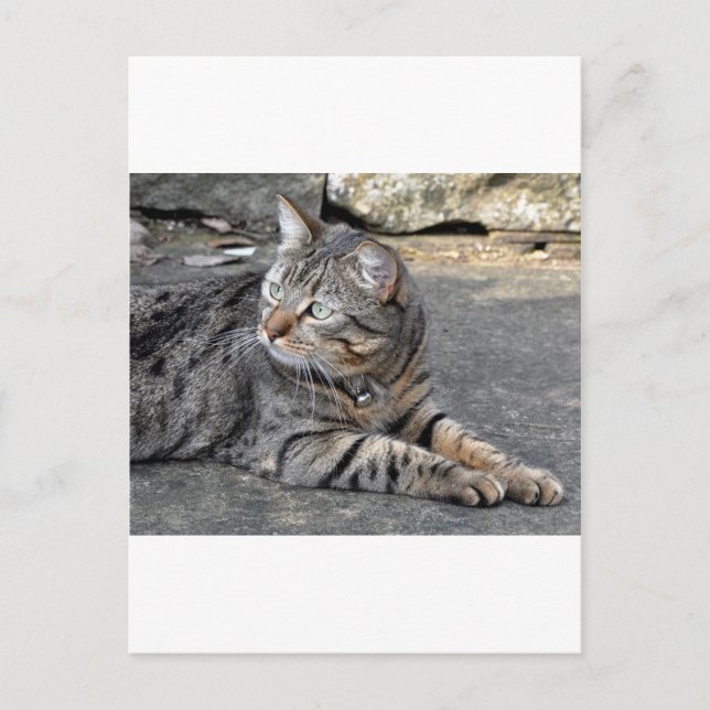 Postal Minnie the Minx (Anverso)