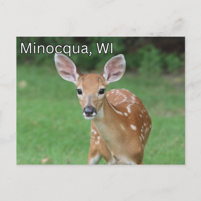 Postal Minocqua Wisconsin Postcard Souvenir (Anverso)