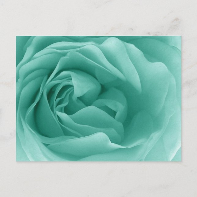 Postal MINT GREEN Close Up of a Frilly Rosa (Anverso)
