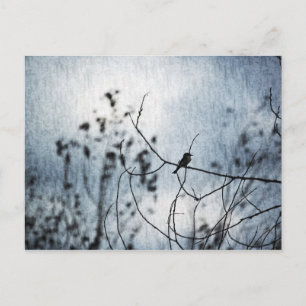 Postal minúscula de la silueta del pájaro