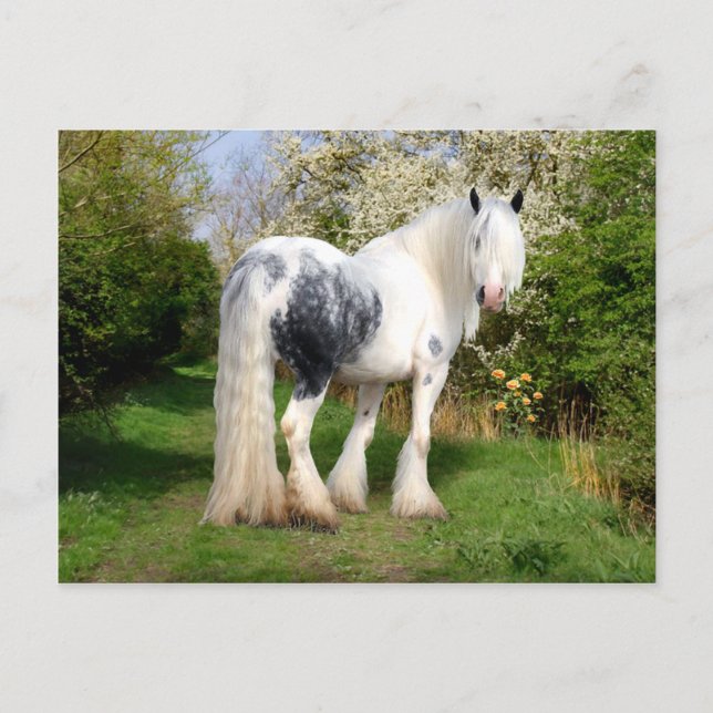 Postal "Mirabeau" (Anverso)