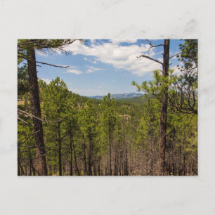 Postal Mirador de Heddy Draw, Parque Estatal de Custer, S