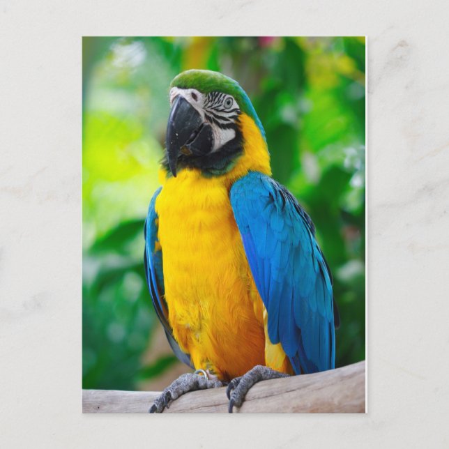 Postal Mírame (Anverso)