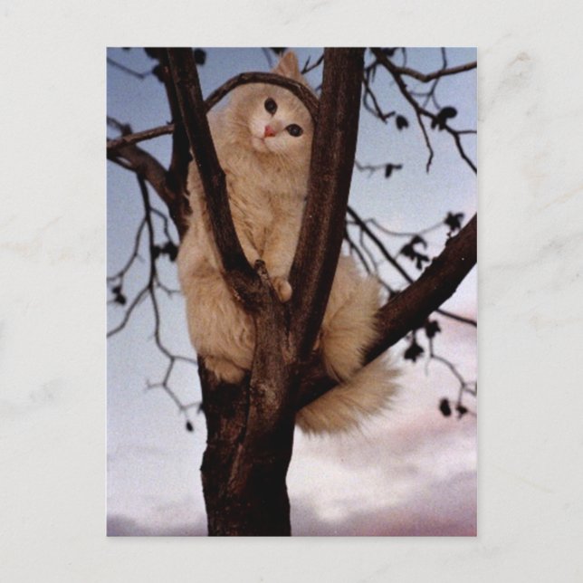 Postal ¡Mírame! (Anverso)