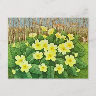 Postal Mirando esperanzador 2011