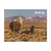 Mirando hacia adelante