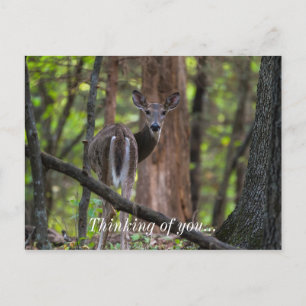 Postal Mirando hacia atrás de forma paradisíaca