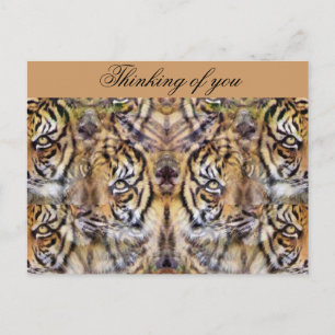 Postal Mirando hacia fuera_