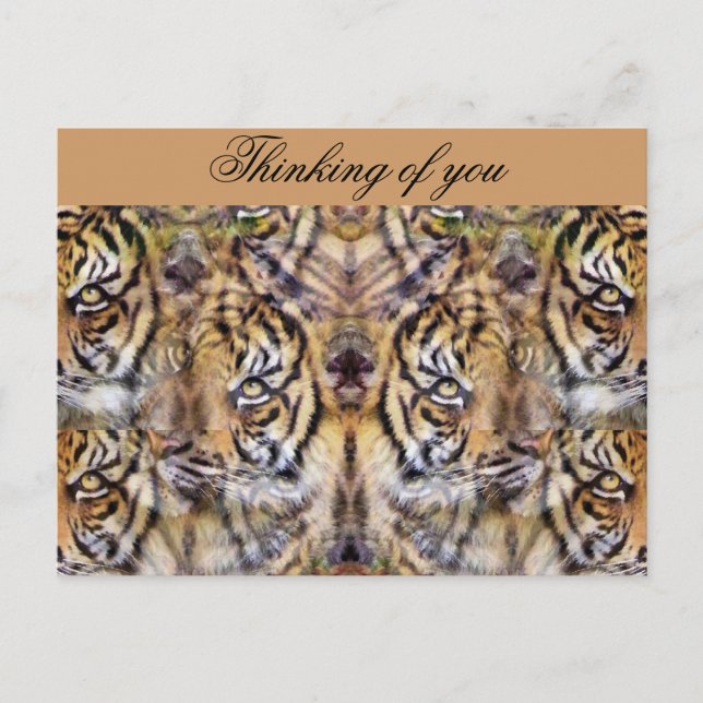 Postal Mirando hacia fuera_ (Anverso)