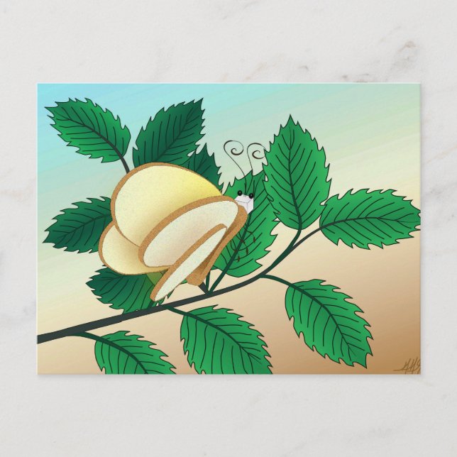 Postal Mirando insectos de vidrio - pan y mariposa (Anverso)