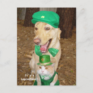 Postal ¡Mirando Leprechaun!