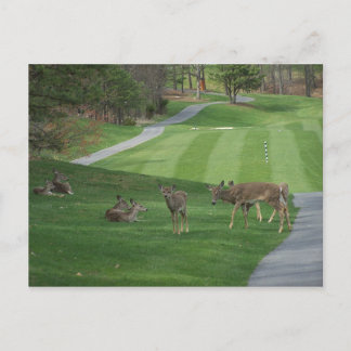 Postal Mirando N Escalofrío