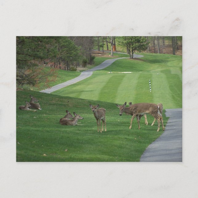 Postal Mirando N Escalofrío (Anverso)