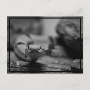 Postal ¡mirándote!