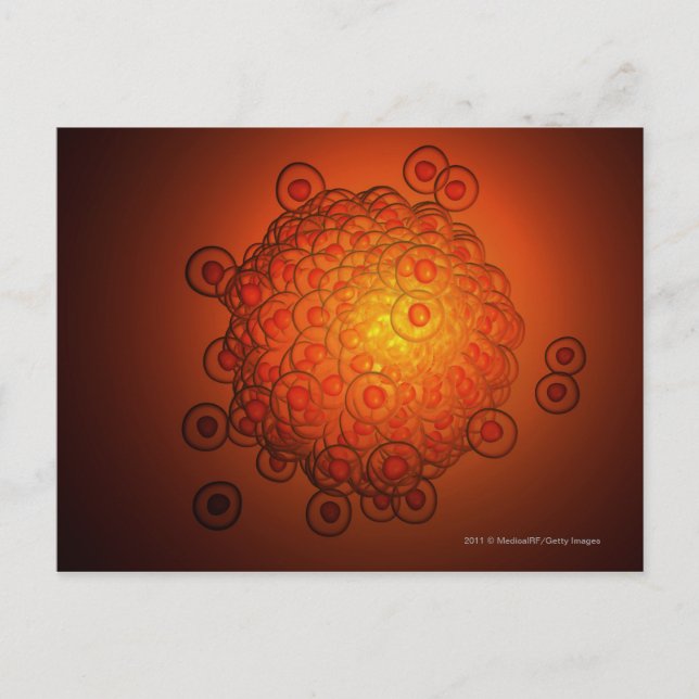 Postal Mirar con más precisión un óvulo (Anverso)