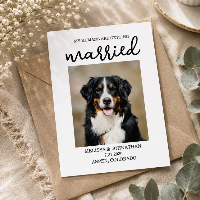 Postal Mis Humanos Se Van a Casar | Perro Save the Date  (My Humans Are Getting Married | Dog Save the Date Postcard)
