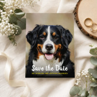 Mis Humanos Se Van a Casar | Perro Save the Date 