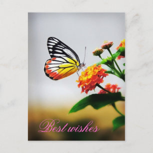 Postal Mis mejores deseos