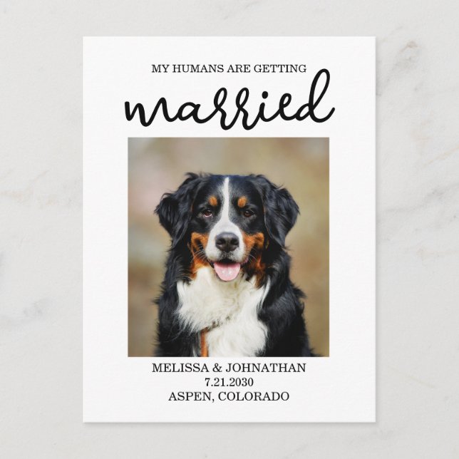 Postal Mis Seres Humanos Se Casan | Perro Guardar la fech (Anverso)