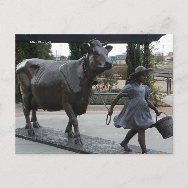 Postal Miss Blue Bell Postcard (Anverso)