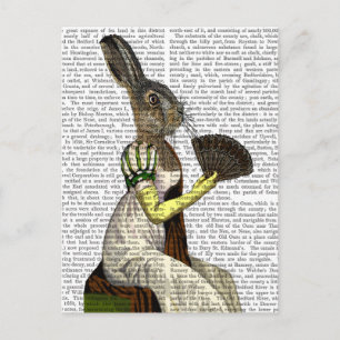 Postal Miss Hare