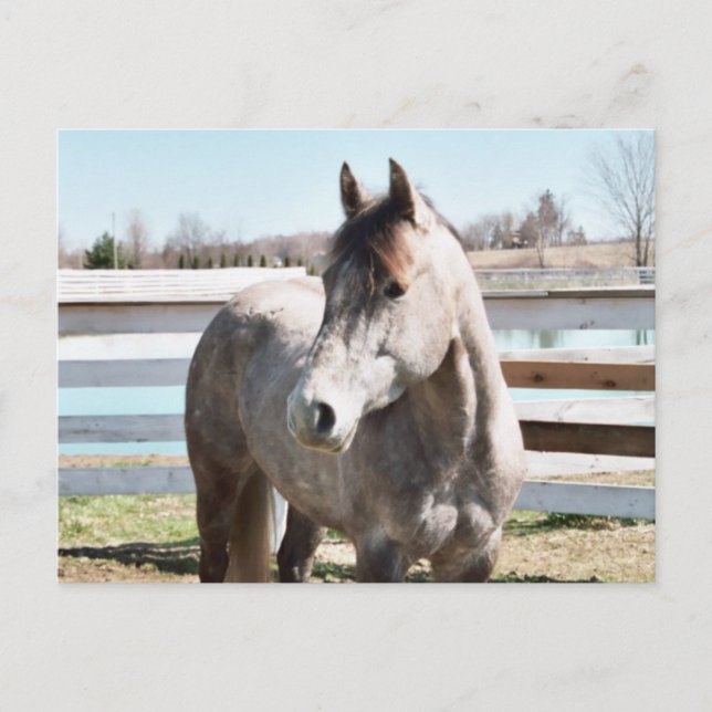 Postal Miss Peppy Shu (Anverso)