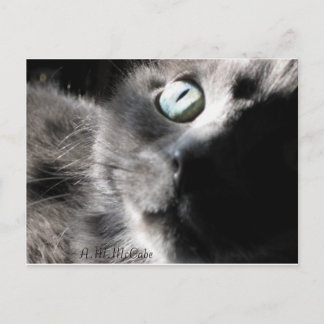 Postal "Miss Preciosa"