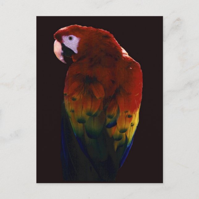 Postal Miss Scarlett (Anverso)