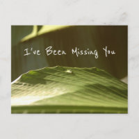 "Missing You", gota de agua en la hoja de plátano,