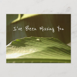 Postal "Missing You", gota de agua en la hoja de plátano,