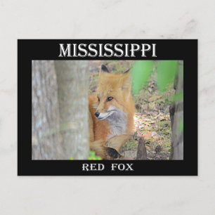Postal Mississippi Red Fox