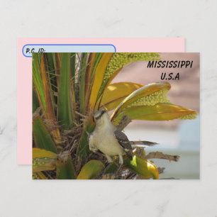 Postal Mississippi State Bird con ID Box