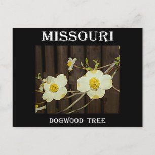 Postal Missouri Dogwood