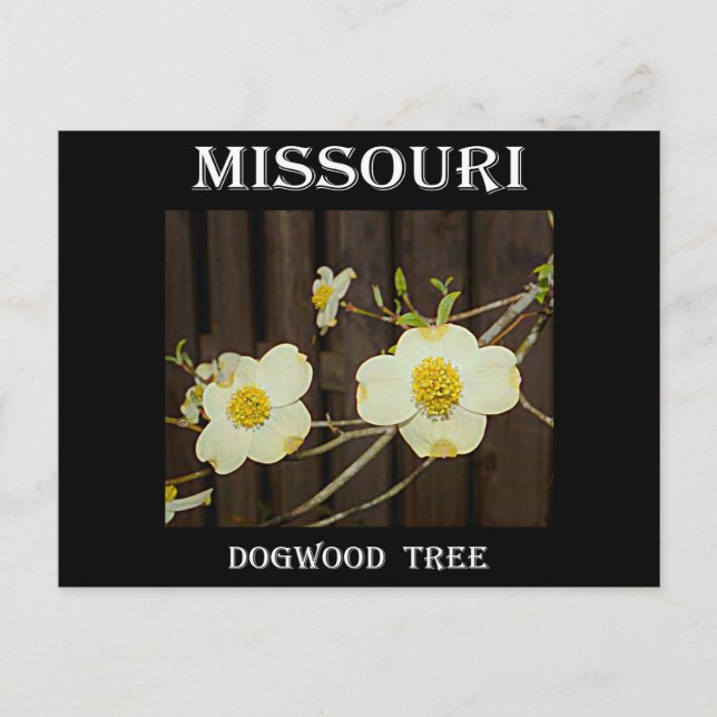 Postal Missouri Dogwood (Anverso)