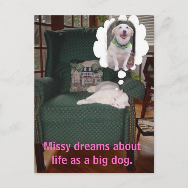 Postal Missy sueña con la vida como un perro grande. (Anverso)