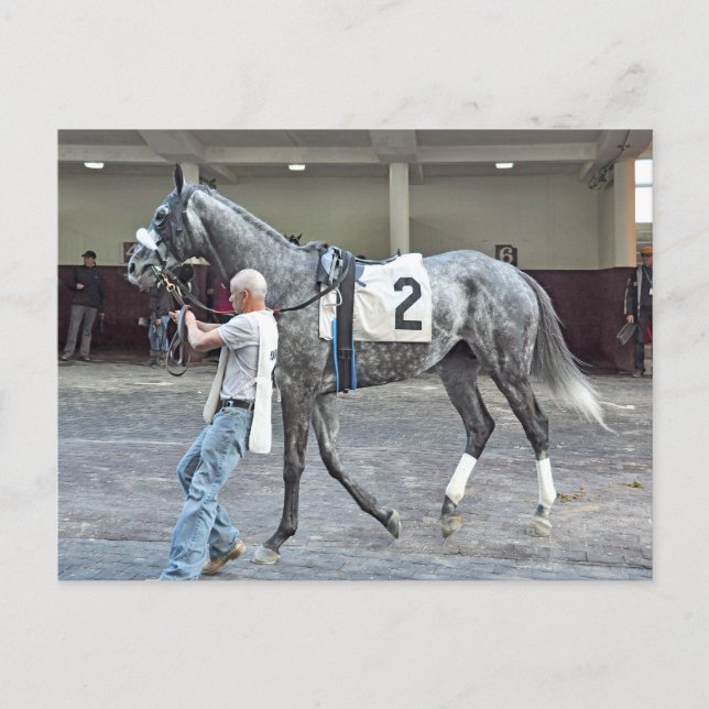 Postal Mister Monolo (Anverso)