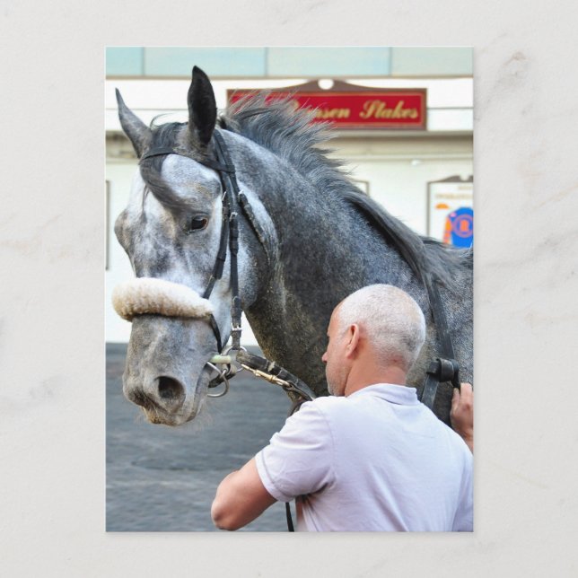 Postal Mister Monolo (Anverso)