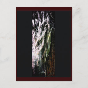 Postal mística para caballos