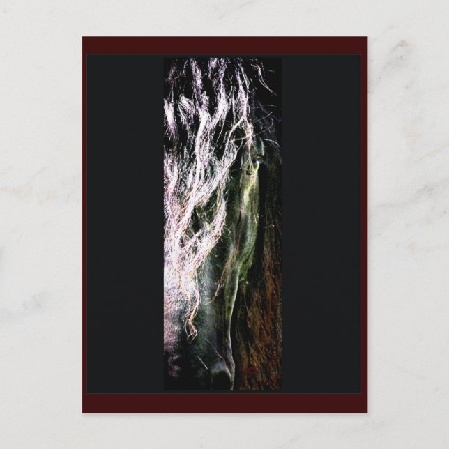 Postal mística para caballos (Anverso)