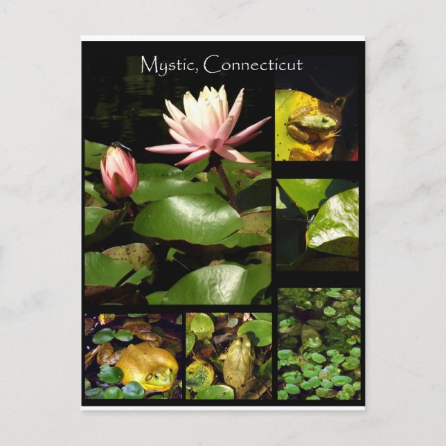 Postal Místico, Connecticut (Anverso)